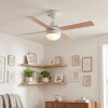 Lenok Ventilateur de plafond lumineux LED Blanc, 1 lumière, Télécommandes