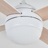 Lenok Ventilateur de plafond lumineux LED Blanc, 1 lumière, Télécommandes