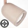 Lemak spot de plafond LED orientable beige taupe, luminaire moderne GU10