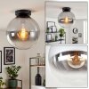 Plafonnier Gastor moderne avec abat-jour rond en verre clair et fumé ø 25 cm