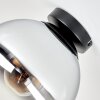 Plafonnier Gastor moderne avec abat-jour rond en verre clair et fumé ø 25 cm