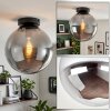 Gastor plafonnier globe en verre fumé, plafonnier boule E27 rétro