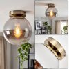 Gastor plafonnier boule, plafonnier globe en verre fumé E27, finition laiton brossé