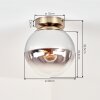 Gastor plafonnier boule, plafonnier globe en verre fumé E27, finition laiton brossé