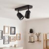 Spot de plafond LED moderne Lemak à deux têtes cylindriques noires orientables