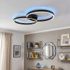Narok plafonnier LED annulaire moderne avec télécommande, effet halo indirect