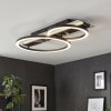 Kordex plafonnier LED moderne à deux anneaux lumineux pour salon, 4000 Kelvin
