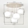 Plafonnier moderne Koyoto en grappe à 5 abat-jour ronds en verre blanc, ø 15 cm, E14