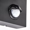 Kingstown applique murale extérieure avec détecteur de mouvement, lot de 2