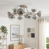 Chehalis plafonnier Spoutnik 12 lumières, luminaire de plafond à globes ronds