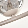 Chehalis plafonnier Spoutnik 12 lumières, luminaire de plafond à globes ronds