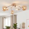 Chehalis plafonnier boule 6 lumières G9, design courbé, Ø 58 cm, salon