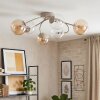 Chehalis plafonnier boule 6 lumières G9, design courbé, Ø 58 cm, salon