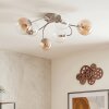 Chehalis plafonnier à globes, luminaire de plafond 6 douilles G9 Ø 58 cm