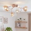 Chehalis plafonnier à globes, luminaire de plafond 6 douilles G9 Ø 58 cm