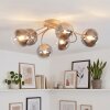 Chehalis plafonnier à globes ronds 6 lumières G9, diamètre 64 cm, style rétro