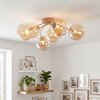 Chehalis plafonnier à globes, luminaire de plafond 6 lampes G9 Ø 64 cm