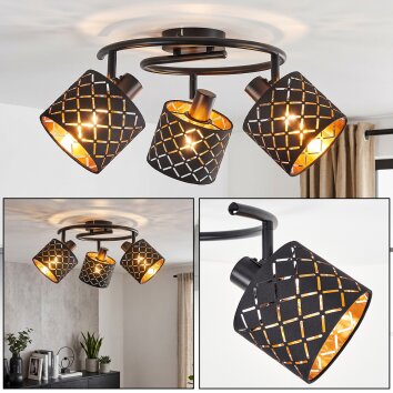 Spot de plafond Tallaboa, 3 lumières orientables, abat-jour dorés et noirs, E14
