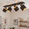 Alsen plafonnier spot de plafond 4 lumières, rampe orientable pour salon