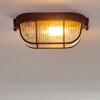 Plafonnier Catawba Rouille, 1 lumière