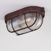 Plafonnier Catawba Rouille, 1 lumière