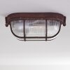 Plafonnier Catawba Rouille, 1 lumière