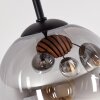 Plafonnier moderne à 4 lumières Gastor avec abat-jour en verre fumé et clair en grappe