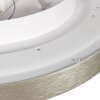Steinhauer Plafonnier LED Flady rond et plat, dimmable, 2700 Kelvin blanc chaud en argenté