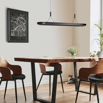 Steinhauer Mykty lampe à suspension LED moderne ovale à 2 flammes, longueur 120 cm