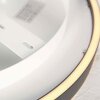 Steinhauer Ringlux plafonnier LED moderne design anneau rond 2700 K 3600 lm 30 W