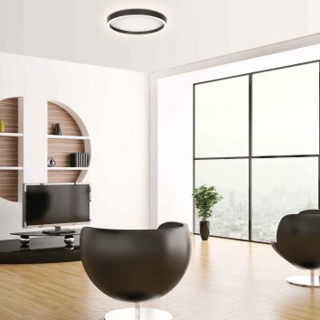 Steinhauer Ringlux plafonnier LED moderne design anneau rond 2700 K 3600 lm 30 W