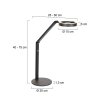 Steinhauer Ringlux lampadaire de lecture réglable sur pied pivotant LED