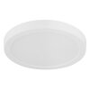 Globo Luno plafonnier LED rond moderne pour couloir et salon, 29 cm, 24 W, 3000 K, 2640 lm