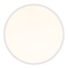 Globo Dwain plafonnier LED rond avec télécommande, 24W, 2400 lm, 2700-6500K