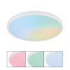 Globo Dwain plafonnier LED rond avec télécommande, 24W, 2400 lm, 2700-6500K