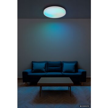 Globo Dwain plafonnier LED rond avec télécommande, 24W, 2400 lm, 2700-6500K