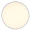 Globo Jess plafonnier LED rond moderne à télécommande 39 cm, 4600 lm, 1800-12000 K, 50 W