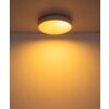 Globo Jess plafonnier LED rond moderne à télécommande 39 cm, 4600 lm, 1800-12000 K, 50 W