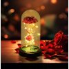 Globo Rosalina lampe décorative à poser rose sous cloche LED