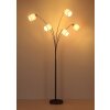 Globo Thea lampadaire sur pied salon moderne à 5 bras, 5 flammes E27 200 cm