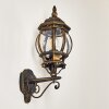 Applique murale d'extérieur Lentua Brun doré, 1 lumière