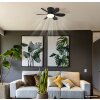 Globo Delores ventilateur de plafond LED avec éclairage, 2700-6500 Kelvin, 560 Lumen, 5 Watt