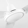 Ventilateur de plafond Nerja Blanc