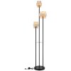 Globo Daren lampadaire sur pied moderne pour salon, 3 lumières E27 167 cm