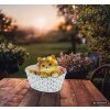 Globo Solar lampe solaire décorative panier de fleurs LED à 8 flammes pour extérieur