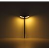 Globo VOTARO applique solaire murale LED détecteur de mouvement extérieur