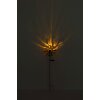 Globo ROSALI lampe solaire de jardin LED tournesol à piquer 3000 Kelvin 6 Watt
