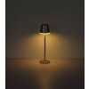 Globo VANNIESO lampe solaire de table d’extérieur moderne LED 3000 Kelvin 6 Watt