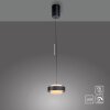 Schöner Wohnen-Kollektion ELMO suspension LED réglable en hauteur, longueur 17,5 cm, 3000 K, 2400 lm