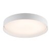 SCHÖNER WOHNEN-Kollektion TAVOLI plafonnier LED rond à profil bas, luminaire de plafond